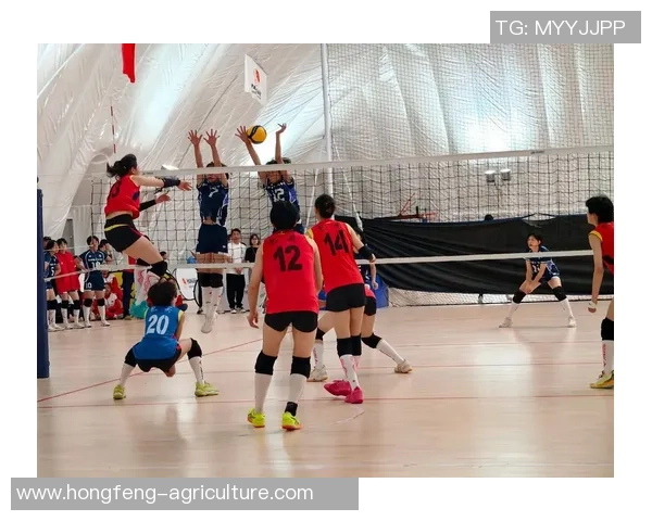 深圳排球队比赛经验革新引发热议助力球队未来发展