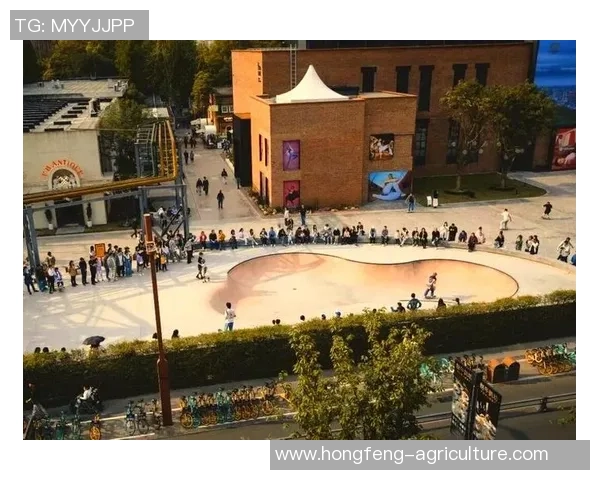 滑板热点：解读成都滑板队的快攻