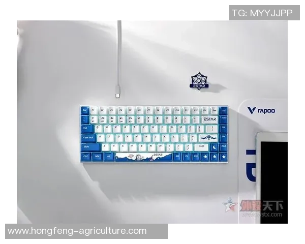 王者荣耀装备选购：机械键盘推荐