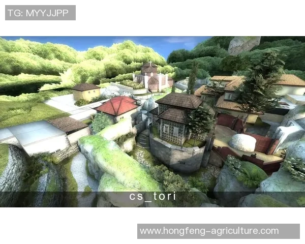 CS_GO战术：TES的防守体系