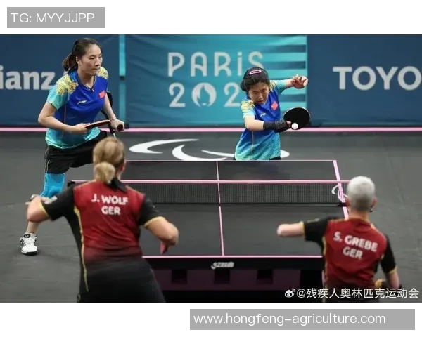 2026乒乓球耐力排行榜：南京乒乓球队位居第1名