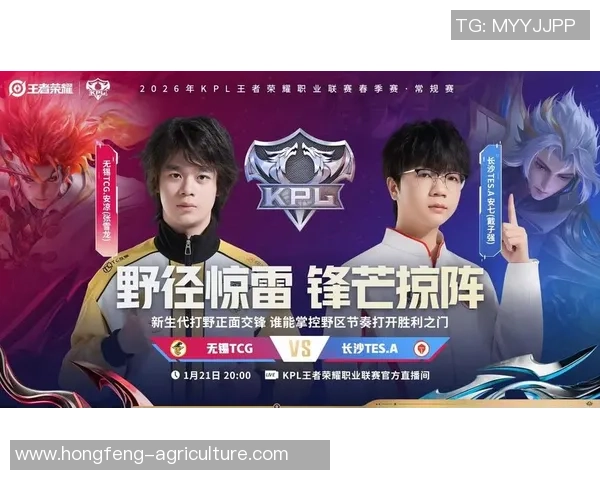 聚焦王者荣耀：TES的技术话题